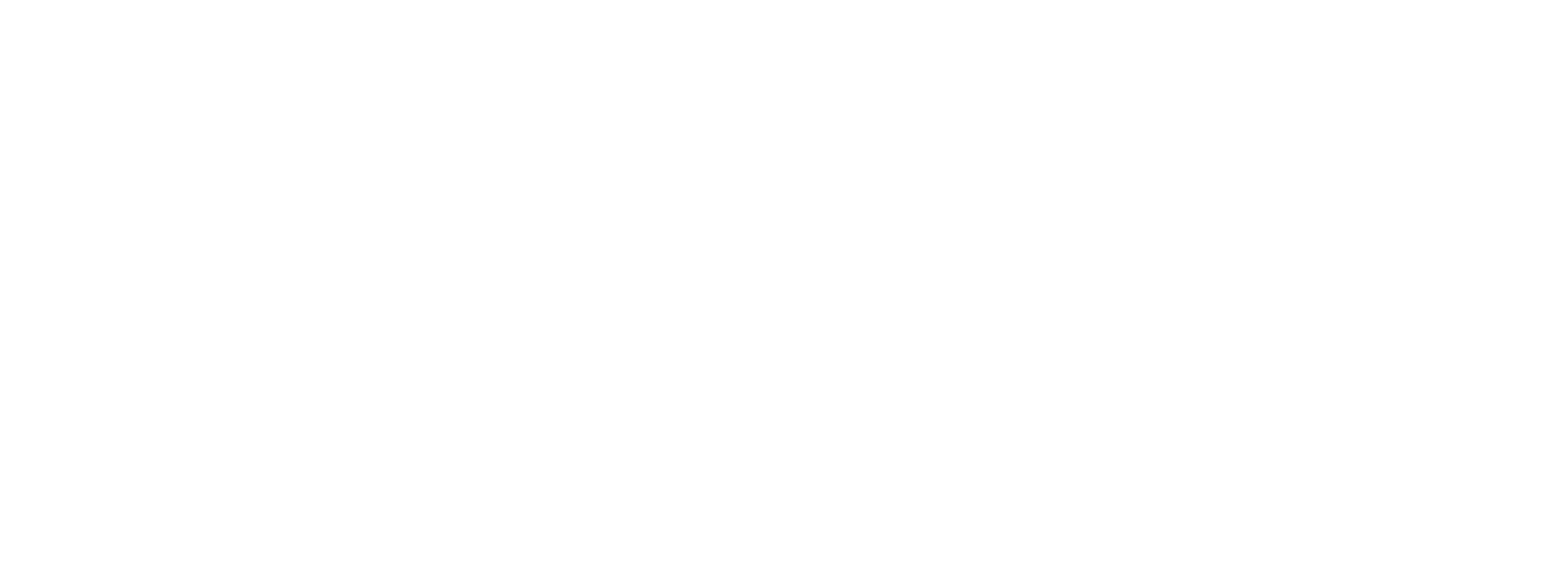 ANA logo - white png